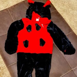 Adorable ladybug 🐞 Halloween costume in excellent condition